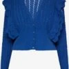 Faina Vesten Gebreid Vest Dames Royal Blue/koningsblauw -Faina Verkoop 82ad1fb0179c3f1cd479b7d45eed1396